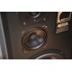   Arcus TS 45 speakers