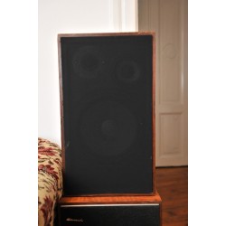 Speakers  Audioscan model 3880