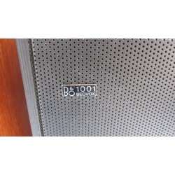BeoVox 1001 Passive Loudspeaker